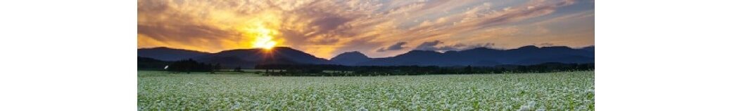 北海道幌加内町