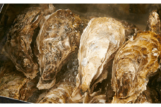 【決済後順次発送】牡蠣のガンガン焼きとむき身セット 〈殻付き牡蠣8個＆むき身牡蠣150g〉【 牡蠣 かき 殻付き むき身 天然 人気 浜焼き 三陸産 】RT246