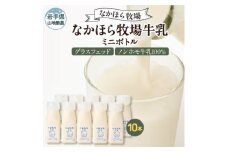 ＜毎月定期便＞なかほら牧場 牛乳ミニボトル 10本全3回【4075361】