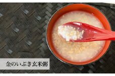 金のいぶき（玄米粥）セット ヨシ腐葉土 宮城県 石巻市 げんまい 玄米粥  常温保存 お米 ごはん