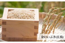 金のいぶき（玄米・粥）セット ヨシ腐葉土 宮城県 石巻市 げんまい 玄米粥  常温保存 お米 ごはん