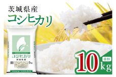 【数量限定】令和7年茨城県産コシヒカリ10kg（5kg×2袋）【お米 ごはん こしひかり おにぎり ごはん 茨城県 水戸市】(JB-16)