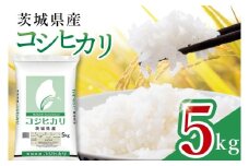 【数量限定】令和7年茨城県産コシヒカリ5kg【お米 ごはん こしひかり おにぎり ごはん 茨城県 水戸市】(JB-15)
