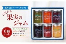 こだわり果実のジャム6種セット シャインマスカット・あんず・巨峰・ブルーベリー・いちご・りんご 140g×各1本ずつ　【軽井沢ファーマーズギフト】　小諸市 グルメ お取り寄せ ギフト 贈答用 [№5915-1701]