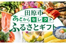 ＼約500品から選べる／あとから選べる！オンラインカタログ あとからセレクト 地鶏 名古屋コーチン 牛肉 肉 国産牛 田原ポーク 豚肉 いちご メロン 選べる しらす うなぎ カタログ 定期便 特産品 グルメ 田原市