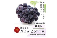 ぶどう 2026年 先行予約 ニューピオーネ 2房(1房480g以上) 化粧箱入り ブドウ 葡萄 岡山県産 国産 フルーツ 果物 ギフト