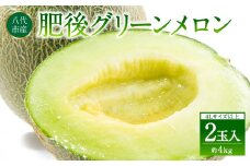【先行予約】 熊本県八代市産 肥後グリーンメロン 4L以上 2玉 約4kg 果物 くだもの フルーツ 肥後グリーン メロン 青肉メロン 【2026年6月上旬より順次発送】