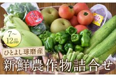 ひとよし球磨産 新鮮農作物詰合せ 【2026年3月上旬-下旬発送予定】 旬 生鮮品 野菜 農作物 お取り寄せ セット 産地直送