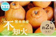  熊本県産 不知火 （デコポン同一品種） 約2kg （6玉）【2026年1月下旬-～2月下旬発送予定】