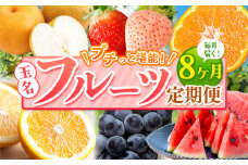 【 定期便 8回 】 プチっと 堪能 ！ 人気 フルーツ | 赤いちご 白いちご みかん 不知火 デコポン スイカ ぶどう 梨 太秋柿 果物 くだもの 定期便 8回 熊本県 玉名市