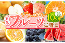 【 定期便 10回 】 プチっと 堪能 ！ 人気 フルーツ | 赤いちご 白いちご みかん 不知火 デコポン スイカ ぶどう 梨 太秋柿 果物 くだもの 定期便 10回 熊本県 玉名市