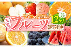 【 定期便 12回 】 プチっと 堪能 ！ 人気 フルーツ | 赤いちご 白いちご みかん 不知火 デコポン スイカ ぶどう 梨 太秋柿 果物 くだもの 定期便 12回 熊本県 玉名市