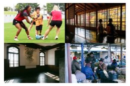 芸術文化やスポーツなどを通じて生きがいを感じられるまちづくりを応援！