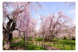 かけがえのない環境を未来へ！持続可能なまちづくりを応援