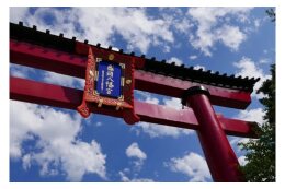 その他（寄附の使途を指定）