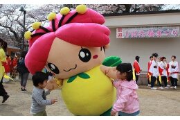 11　自治体におまかせ