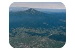 その他町長が必要と認める事業 