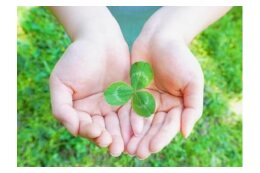 地球環境を良くするまちづくり