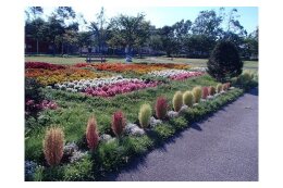 (8)街づくり(公園)の整備に活用してほしい